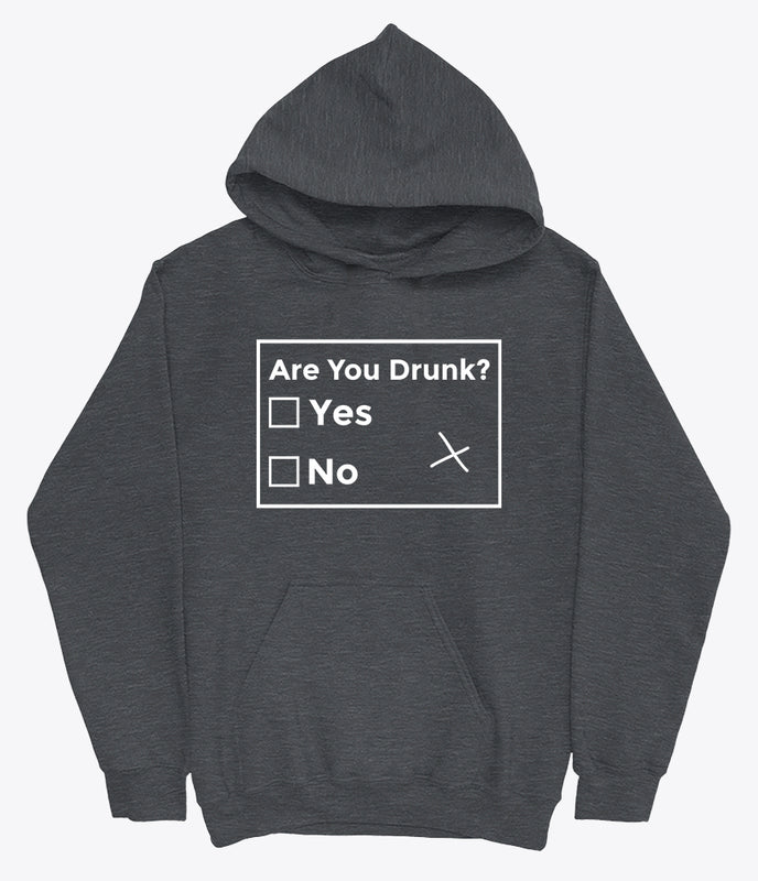 Are you drunk hoodie
